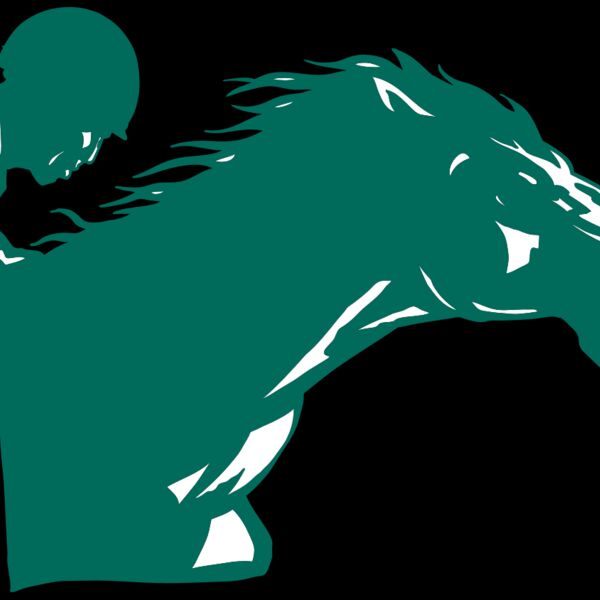 AR EQUEST 19 RC Thumbnail