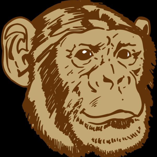 AR OTHER 47 RC Thumbnail