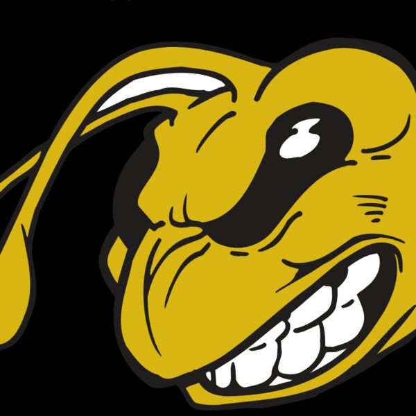 AR5 BEE 10 RQC Thumbnail