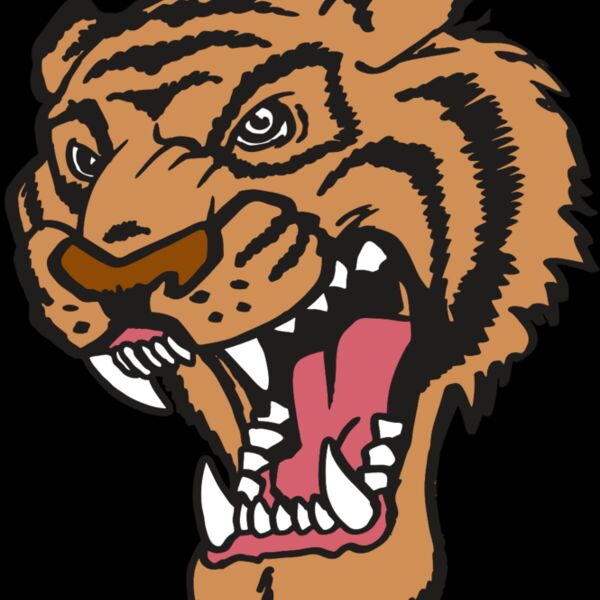 AR TIGER 12 RC Thumbnail