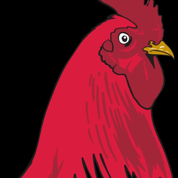 AR OTHER 19 RC Thumbnail