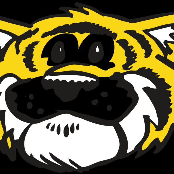 AR TIGER 90 RC Thumbnail