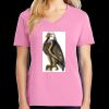 Women's Core Cotton V Neck Tee Thumbnail
