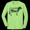 Youth Long Sleeve Core Cotton Tee Thumbnail