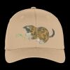 Flexfit ® Cap Thumbnail